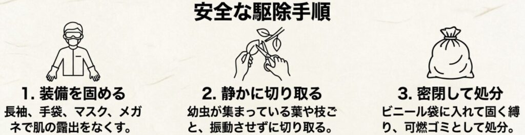 危険なチャドクガの幼虫から身を守るための安全な服装と駆除手順ガイド