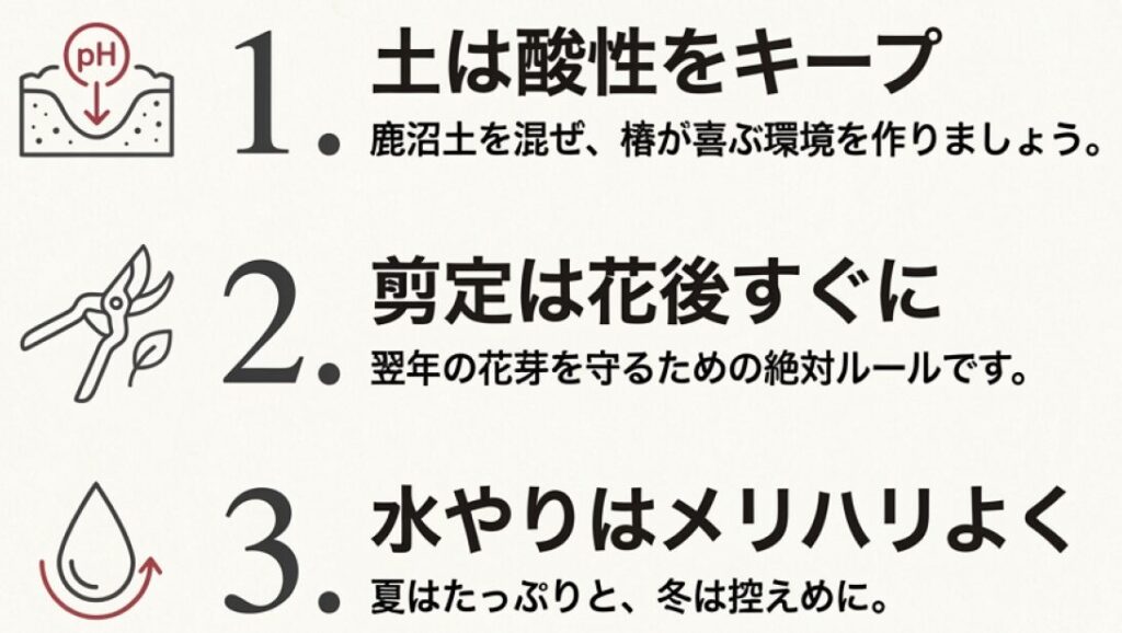 初心者が覚えておくべき武雅流・椿盆栽を成功させる3つの鉄則まとめ