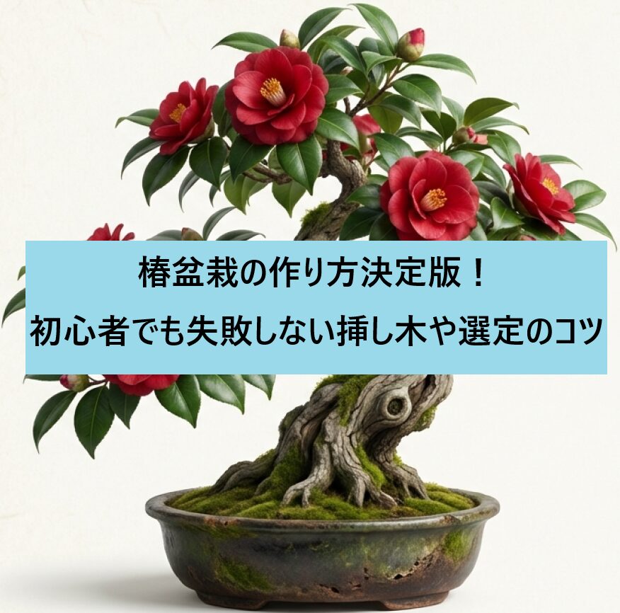 満開の赤い花を咲かせた美しい椿盆栽のイメージ