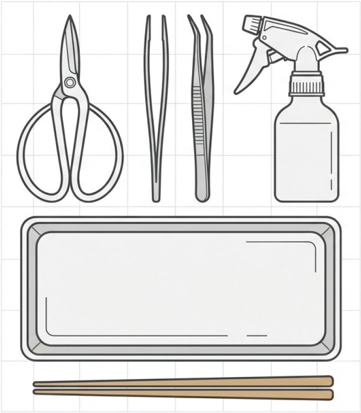 ハサミ、ピンセット、霧吹き、トレイなど、盆栽の苔貼りに使用する基本的な道具のイラスト