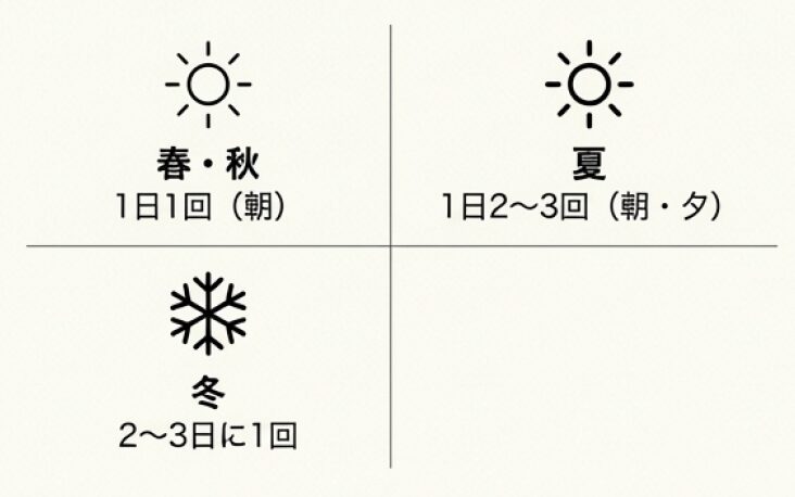 翌年も花を咲かせるための椿盆栽剪定サイクルと花芽分化の仕組み