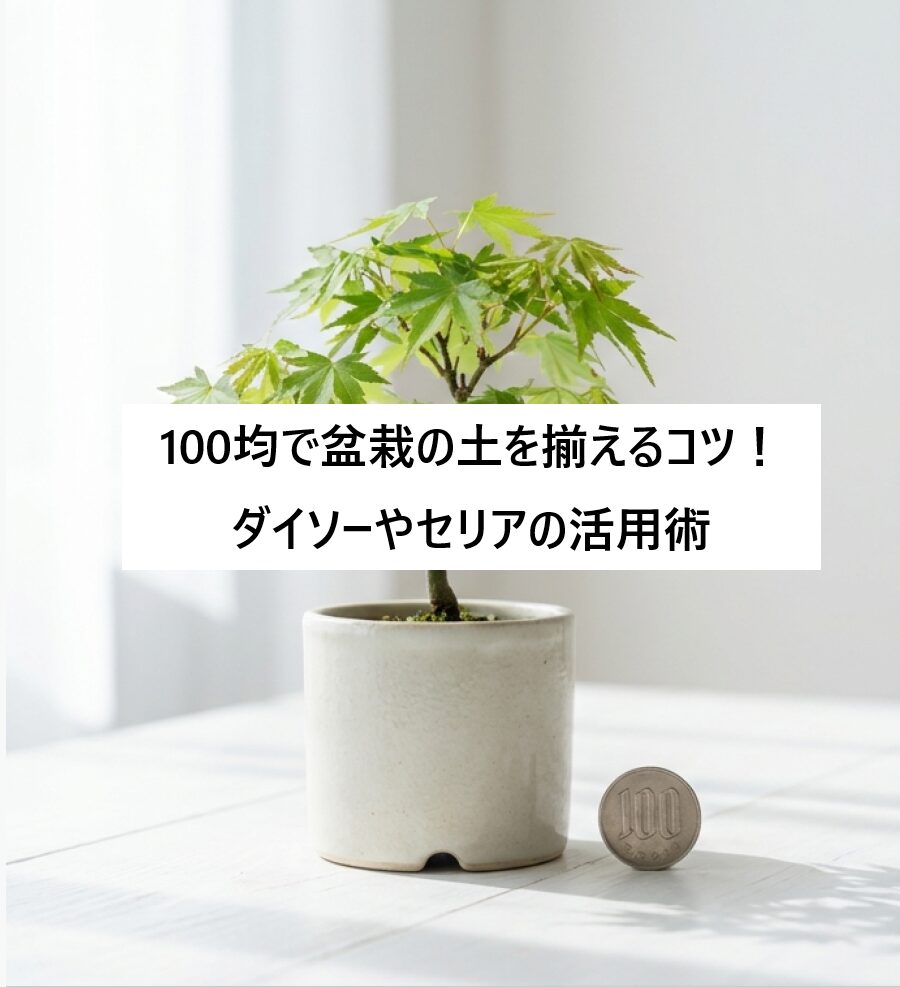 100均の素材を使って盆栽を枯らさずに育てるための土の選び方と混ぜ方のガイド表紙