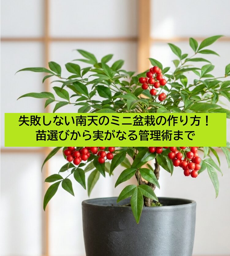 赤い実がなった南天ミニ盆栽の写真と「はじめての南天ミニ盆栽」のタイトル