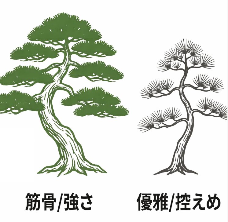 黒松は春にたっぷり与えて芽切りに備え、五葉松は葉を伸ばしすぎないよう控えめにする違いと、有機肥料推奨の共通点を解説