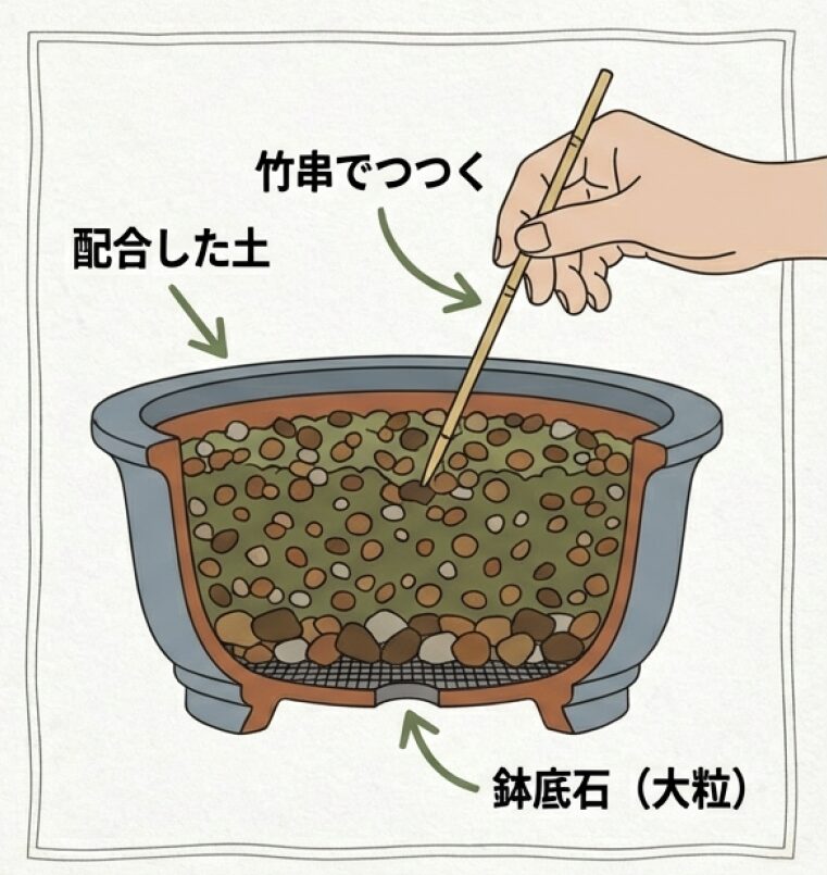 鉢底石を敷き、その上に配合した土を入れ、竹串でつついて根の隙間まで土を馴染ませているイラスト。