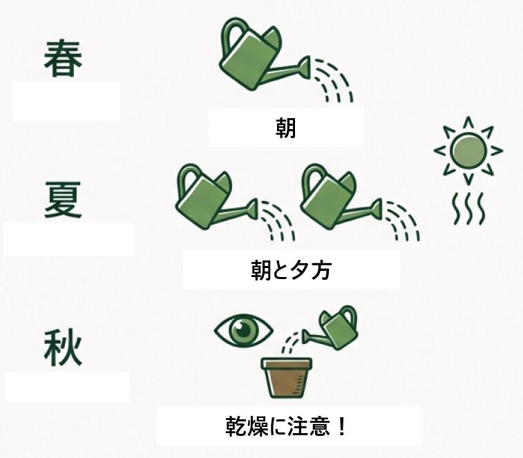 春(朝1回)、夏(朝夕2回)、秋(乾きをチェック)という季節ごとの水やりルールを説明したスライド。