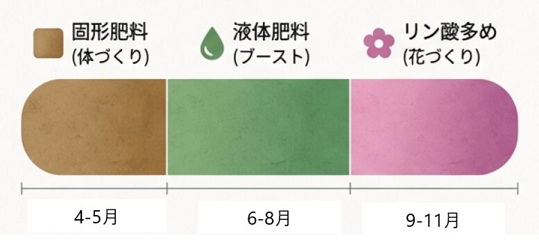 4-5月は体づくり(固形)、6-8月はブースト(液肥)、9-11月は花づくり(リン酸多め)と時期で肥料を変える説明。