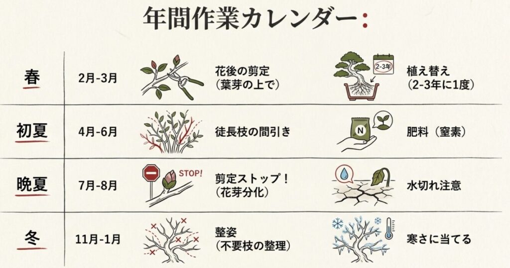 四季ごとの手入れ（春は切る、夏は守る、冬は整える）を簡潔にまとめた総括スライド
