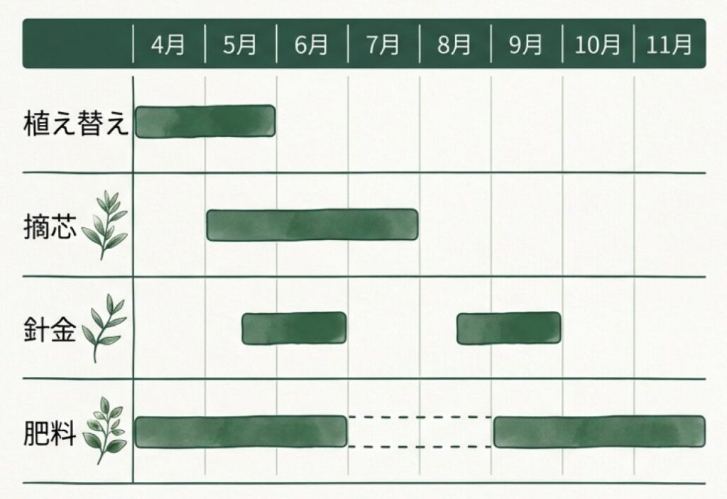 4月から11月までの、植え替え、摘芯、針金、肥料の作業タイミングをまとめた早見表。