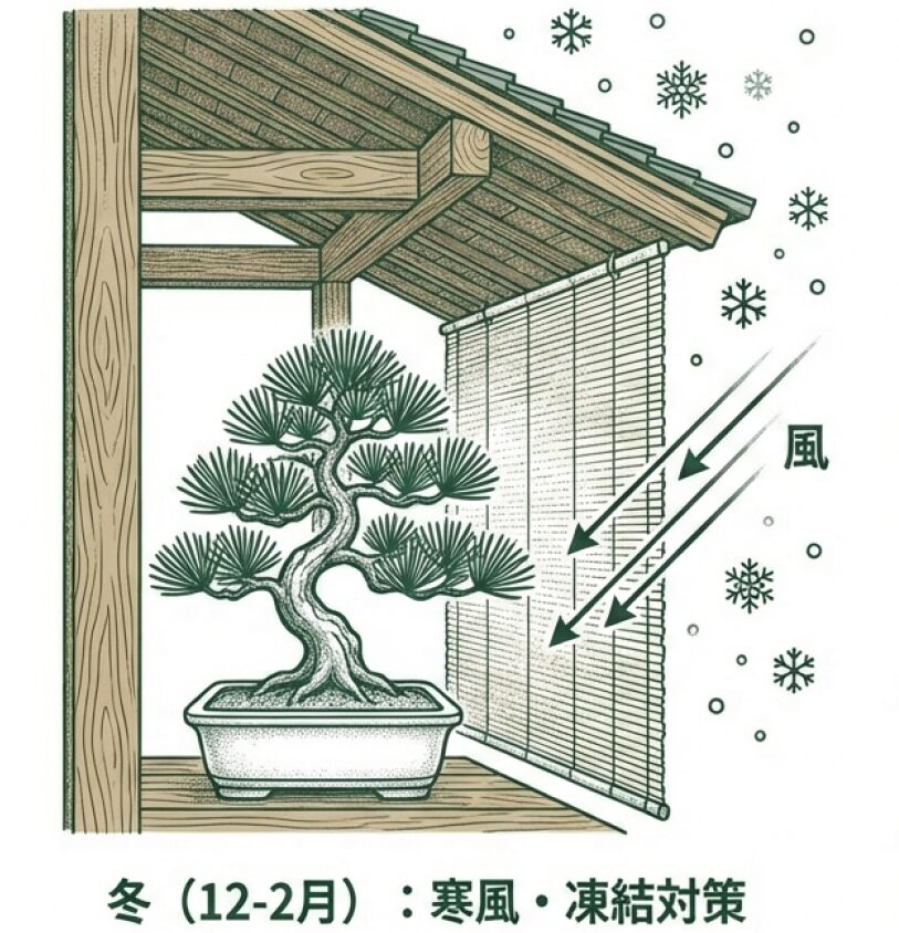 軒下や風除けを使い、鉢植えの根を凍結や北風から守る様子