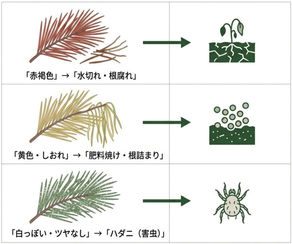 赤褐色は水切れ・根腐れ、黄色は肥料焼け、白っぽさはハダニなど、葉の状態から原因を特定する比較図