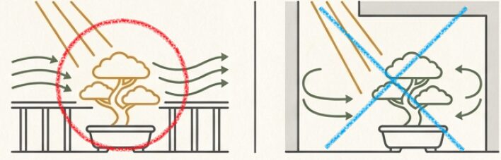 金木犀に理想的な屋外の直射日光と風通しの良い環境、および壁に囲まれたNGな環境を示すイラスト