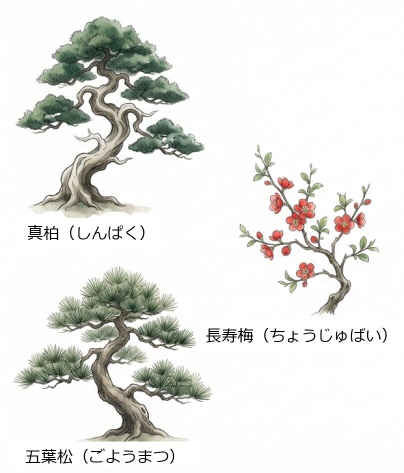 丈夫なシンパク、花が楽しめる長寿梅、風格のある五葉松のイラストとそれぞれの特徴比較。