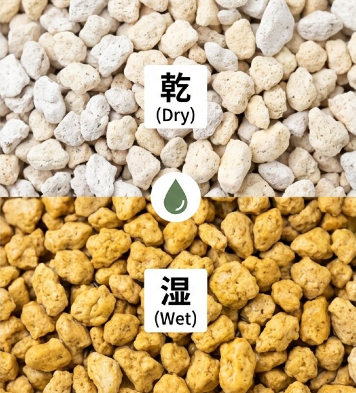 鹿沼土が乾いている状態(白っぽい)と湿っている状態(黄色っぽい)の比較写真。水やりのサインが見えやすいメリットを解説。