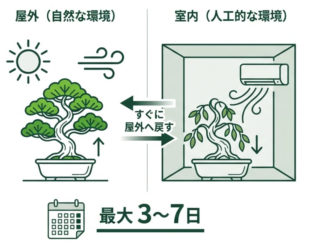 屋外と室内の環境差を示し、室内鑑賞は最大3〜7日が限界であることを伝えるイラスト