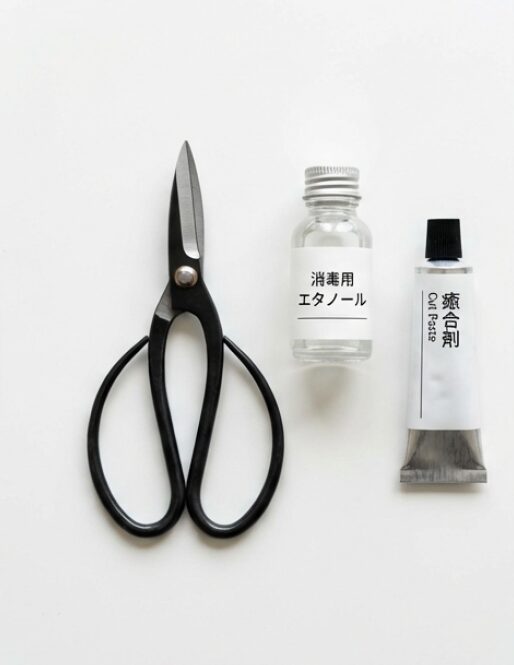 剪定バサミ、消毒用エタノール、癒合剤の写真