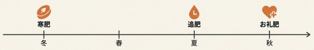 寒肥(冬)、追肥(夏)、お礼肥(秋)のタイミングと、花芽形成期にあえて肥料を切る秘訣の解説