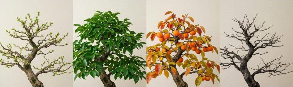 四季を愛でる柿盆栽の魅力