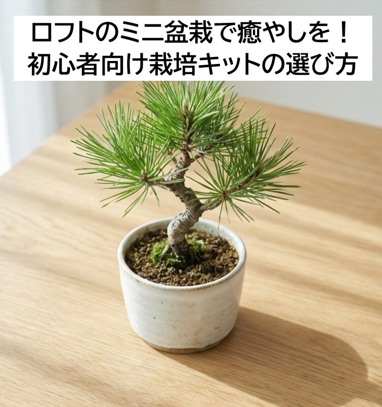 小さな松の盆栽が机に置かれた写真と、初心者向け栽培キットの選び方や手入れのコツを解説する導入スライド。