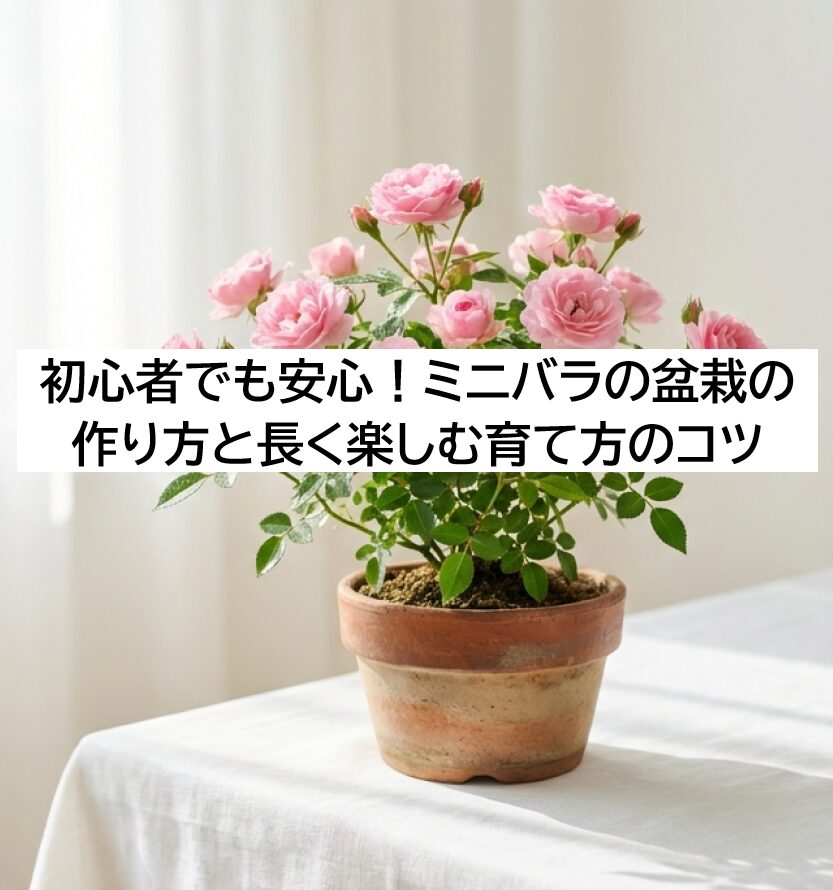 手のひらのバラ園、はじめませんか。