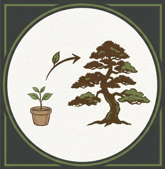 小さな苗木から立派な盆栽へと成長する様子を描いたイラスト。本物に触れた後に自分でも育て始めることを推奨するメッセージ。