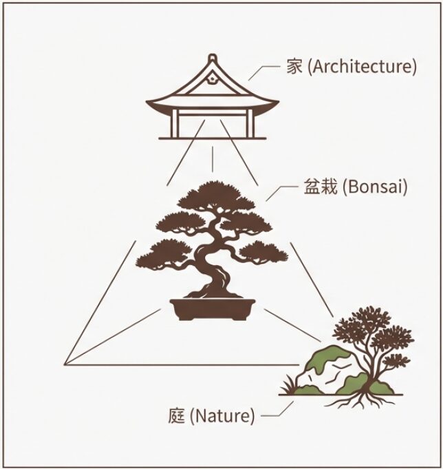 「家（Architecture）」「盆栽（Bonsai）」「庭（Nature）」の三要素が互いに関連し合い、盆栽が空間を引き締める役割を担っていることを示す図解。
