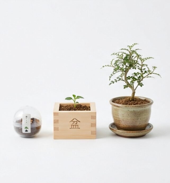 カプセル型、枡型、陶器鉢型の3種類のミニ盆栽キットが並んだ画像。