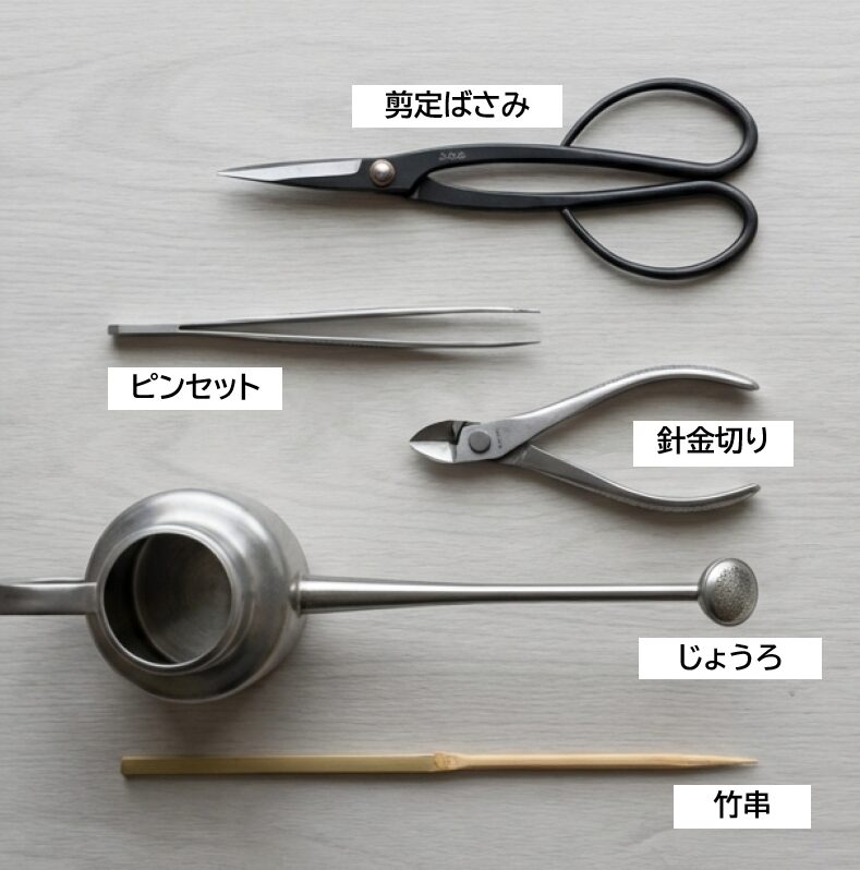 剪定ばさみ、ピンセット、じょうろ、針金切り、竹串など、ミニバラ盆栽で使用する5つの道具の画像。