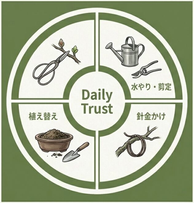 「水やり・剪定」「針金かけ」「植え替え」など、盆栽の美しさを保つための日常的な管理項目を「Daily Trust」としてまとめたサイクル図。