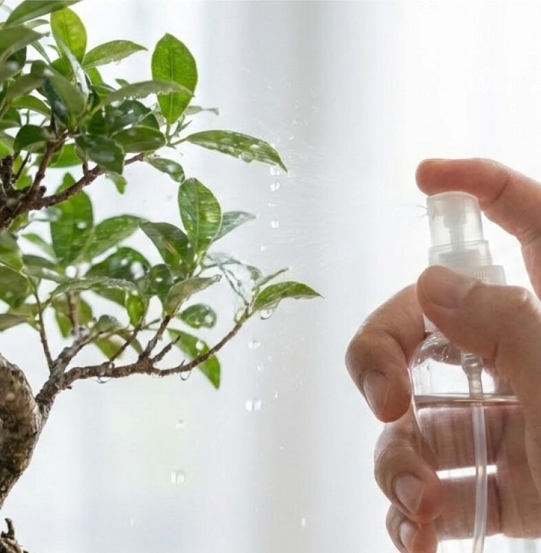 霧吹きで盆栽の葉の裏側までしっかり湿らせている様子。