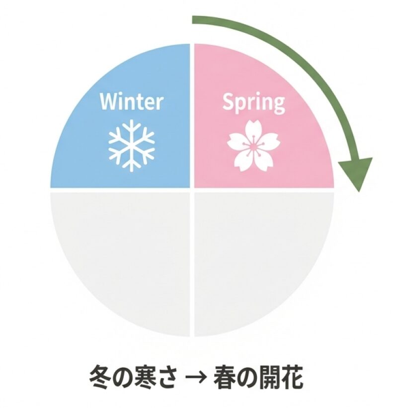 冬の寒さに当てる「休眠打破」が春の開花につながることを示したスケジュールのイメージ図。