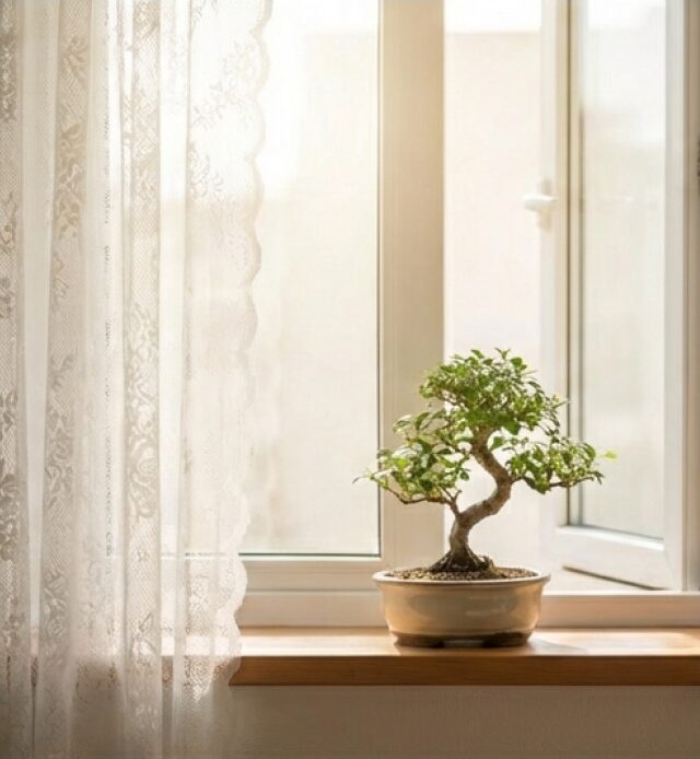 明るい窓辺に置かれた盆栽の写真。