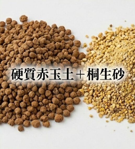 硬質赤玉土と桐生砂を混ぜた用土と、根を大切に残して植え替える手順の解説