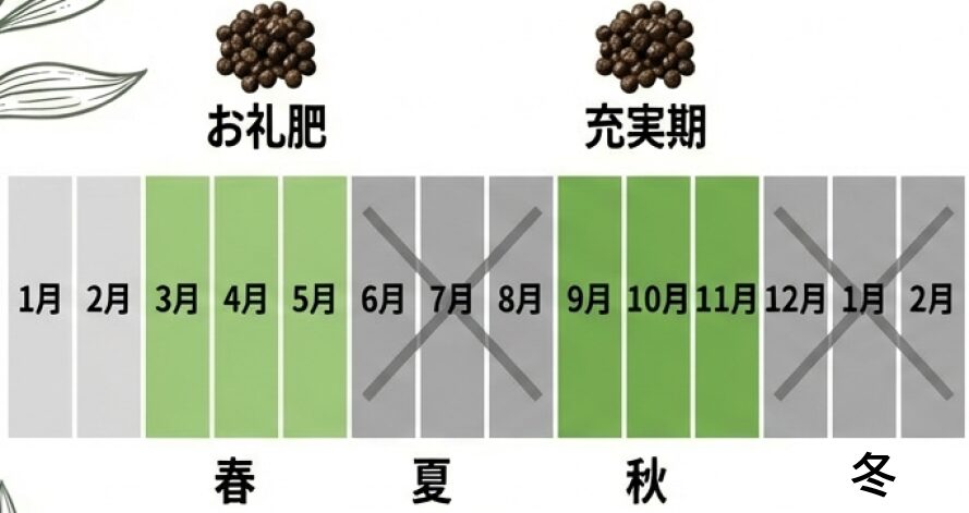 春のお礼肥と秋の充実期に肥料を与え、真夏と真冬は休ませることを示すカレンダー。
